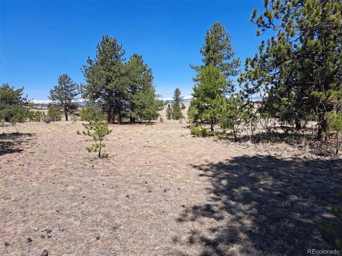 Photo of 235 Maricopa Trl