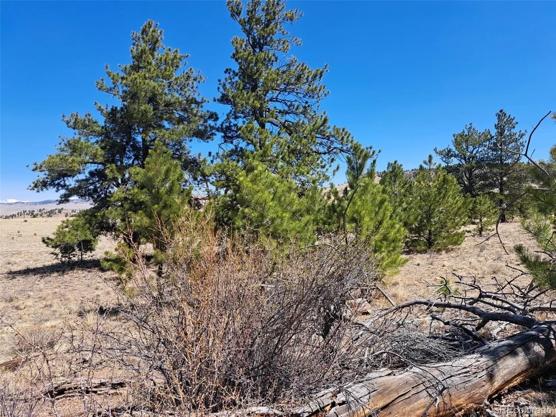 Photo of 235 Maricopa Trl
