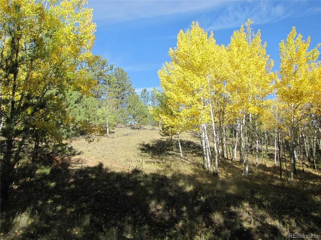 Photo of 700 Campfire Rd
