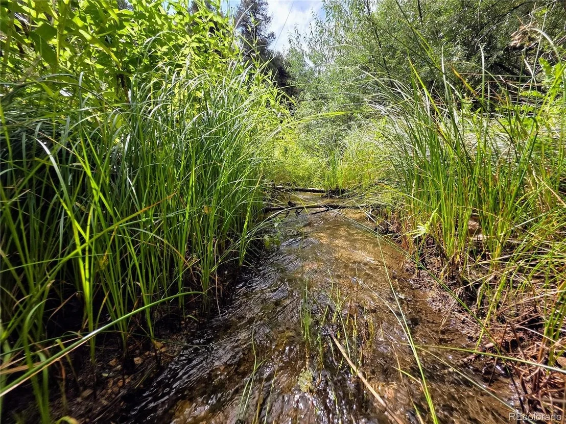 Photo of 291 County Road 51