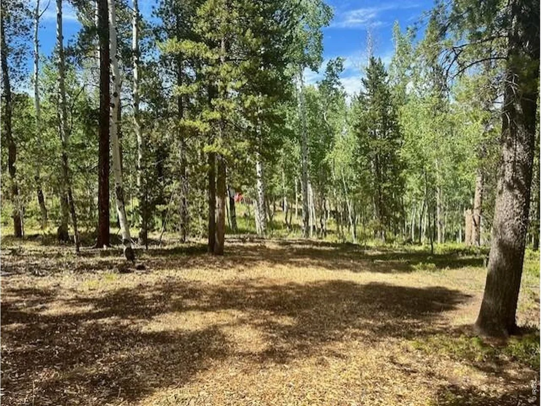 Photo of 293 Aspen Cir