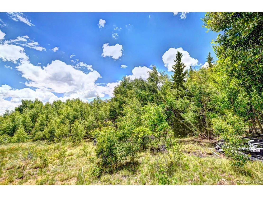 Photo of 304 Swiggler Rd
