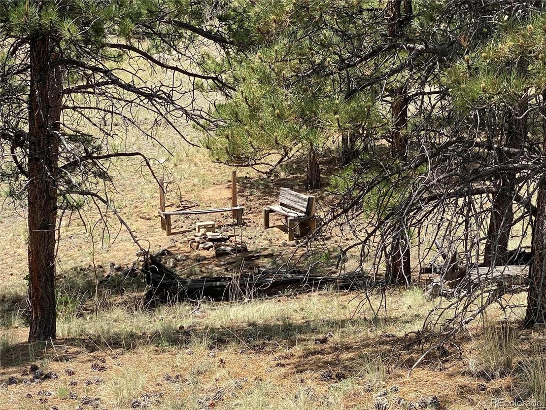 Photo of 73 Rams Run