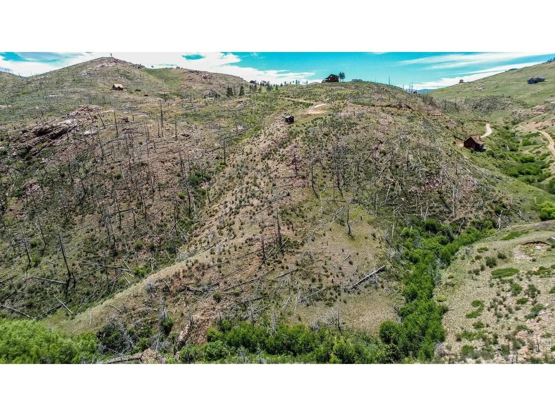 Photo of 173 Grays Peak Ct