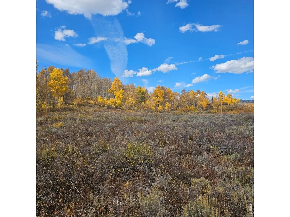 Photo of 204 County Road 286