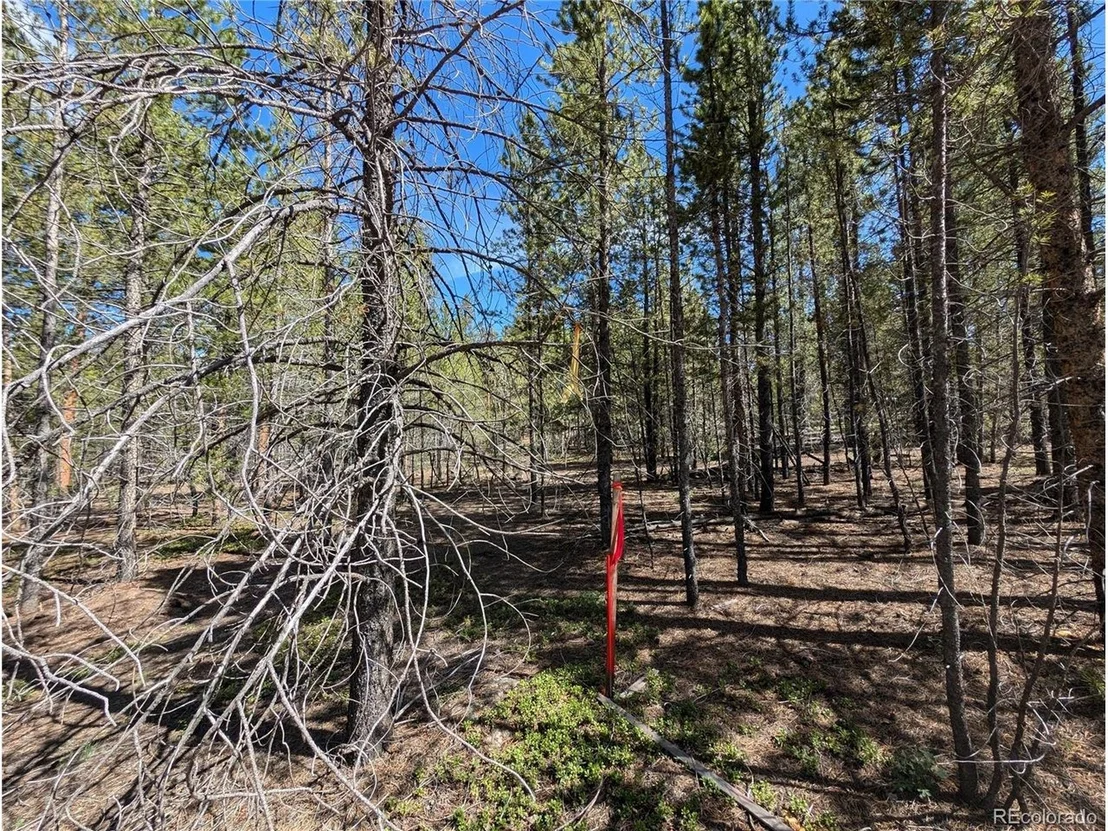 Photo of 495 Birch Dr