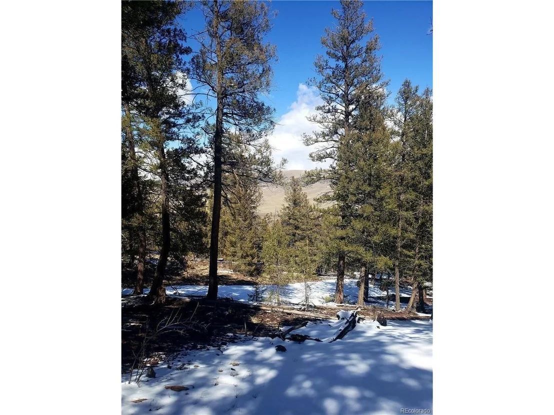 Photo of Middle Fork Vis