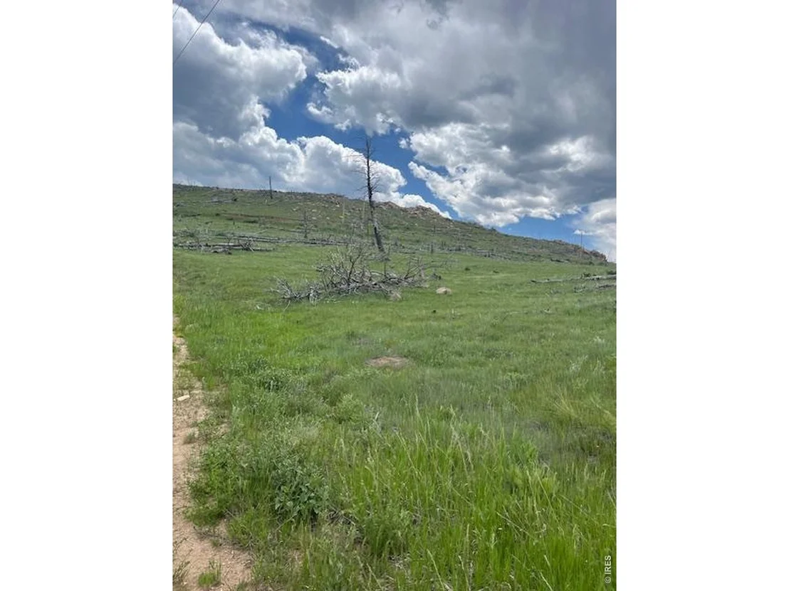 Photo of 598 Mount Mcconnell Dr