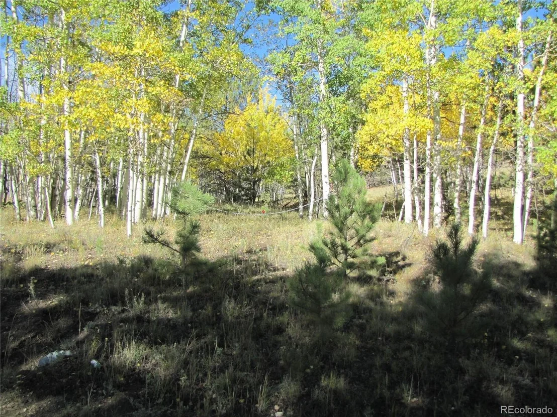 Photo of 700 Campfire Rd