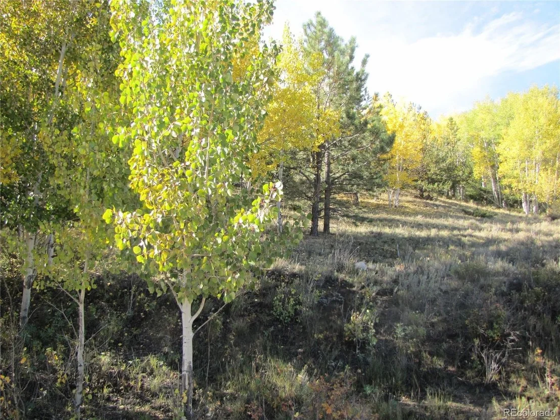 Photo of 699 Campfire Rd