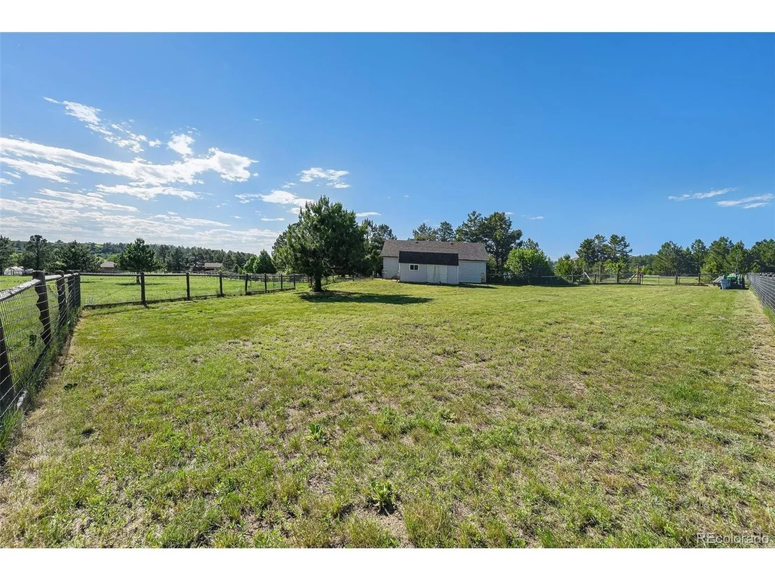 Photo of 497 Grey Squirrel Way