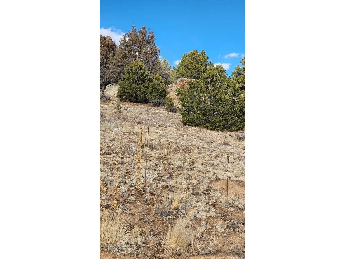 Photo of 47 White Cloud Dr