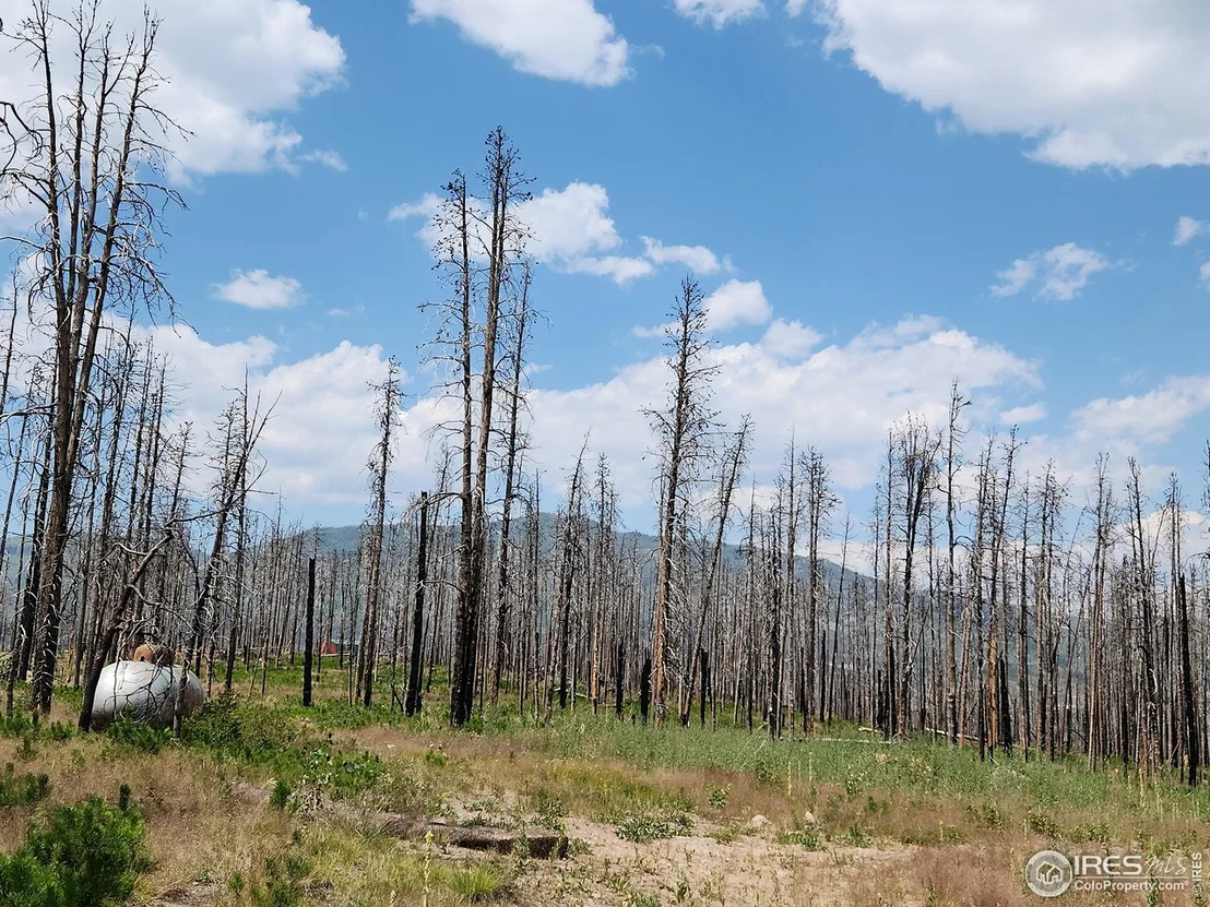 Photo of 963 Crystal Mountain Rd