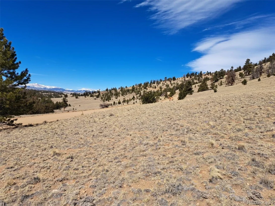 Photo of 369 Summit Rd