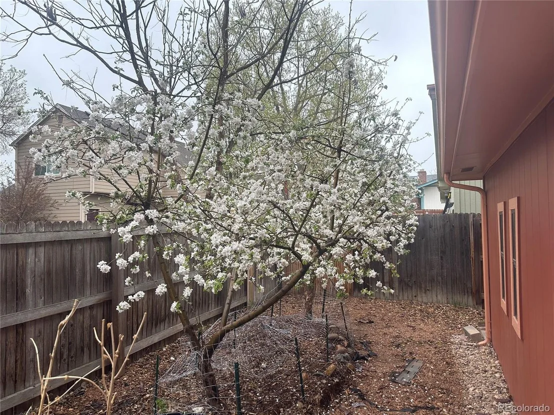 Photo of 203 Cypress Cir