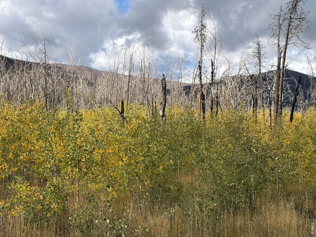 Photo of 2025 Granite Rd