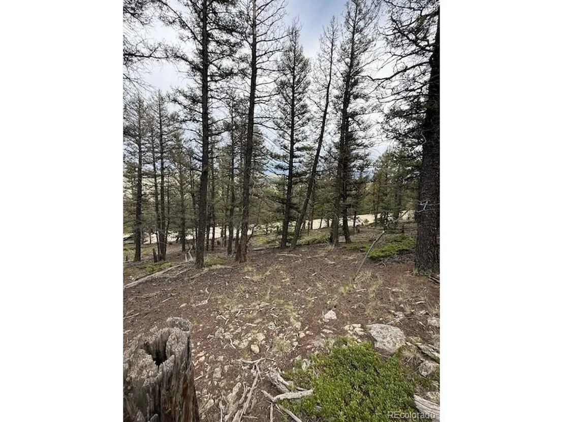 Photo of 2689 Redhill Rd