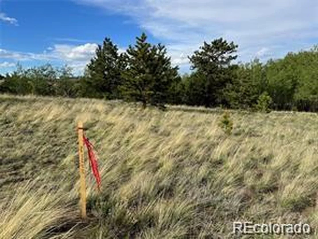 Photo of 1599 Campfire Rd