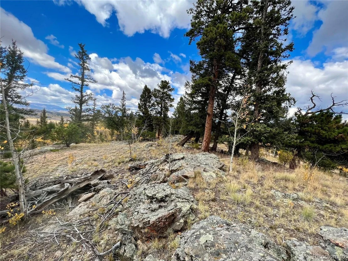 Photo of 791 Haida Ln