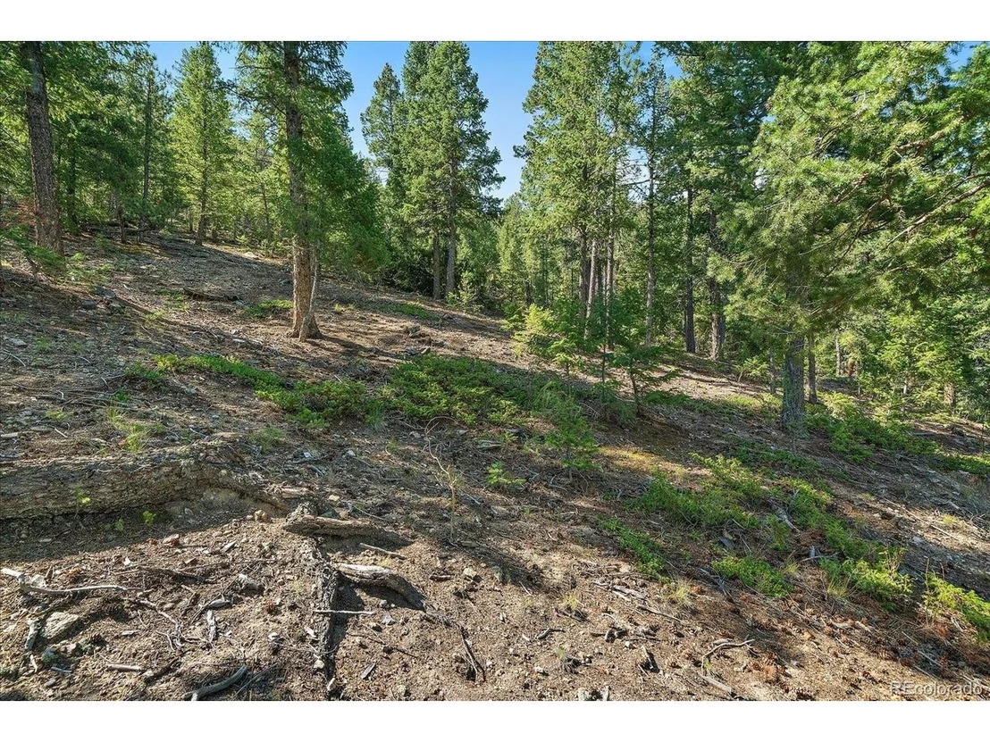 Photo of 33844 Bergen View Trl