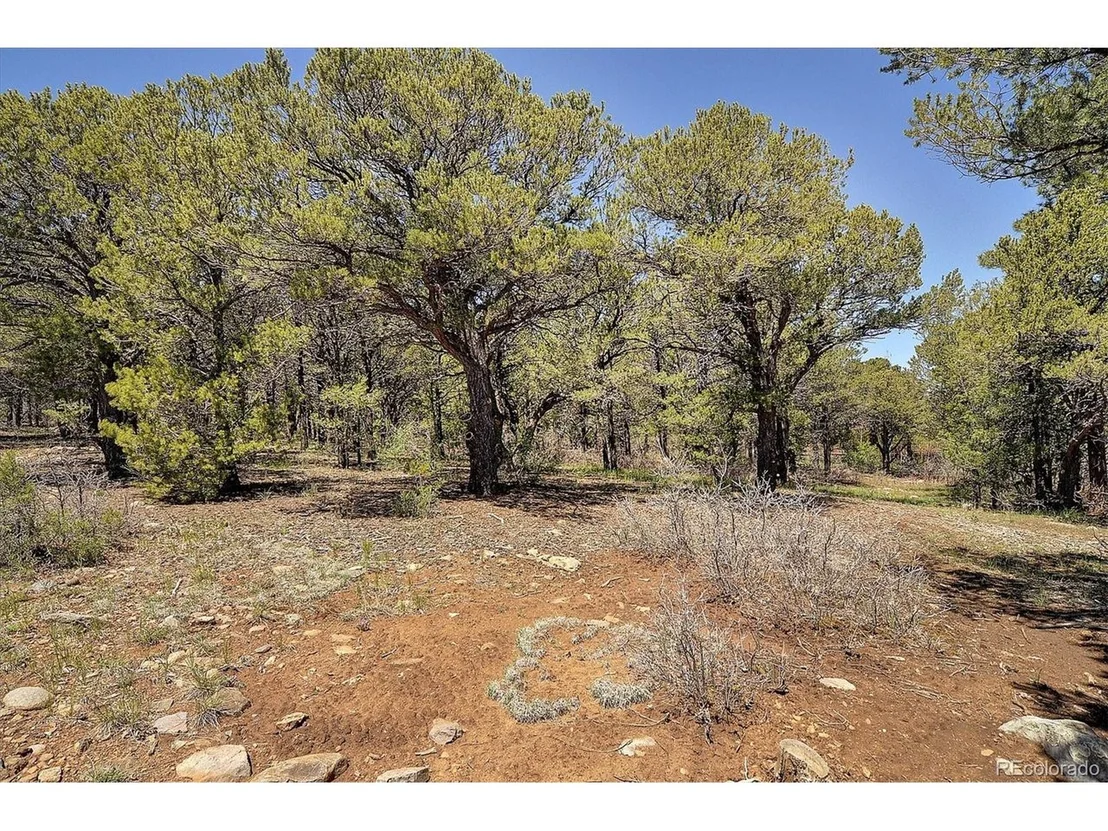 Photo of 3662 County Road 47
