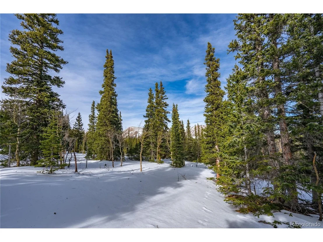 Photo of 503 Silverheels Pl