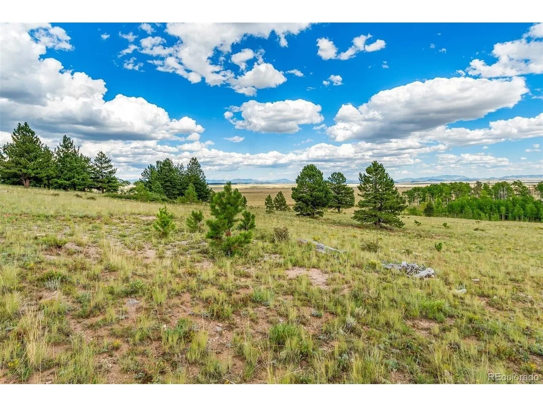 Photo of 1327 Sheep Ridge Rd