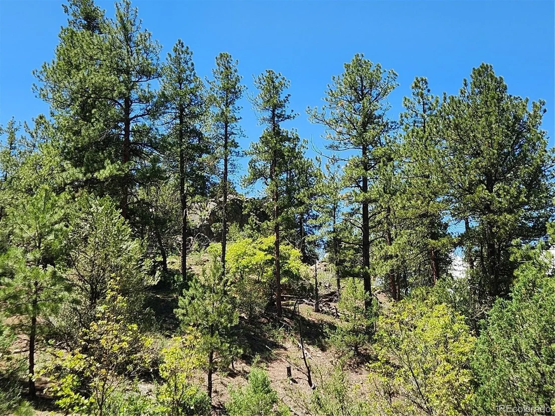 Photo of 102 Kevin Dr