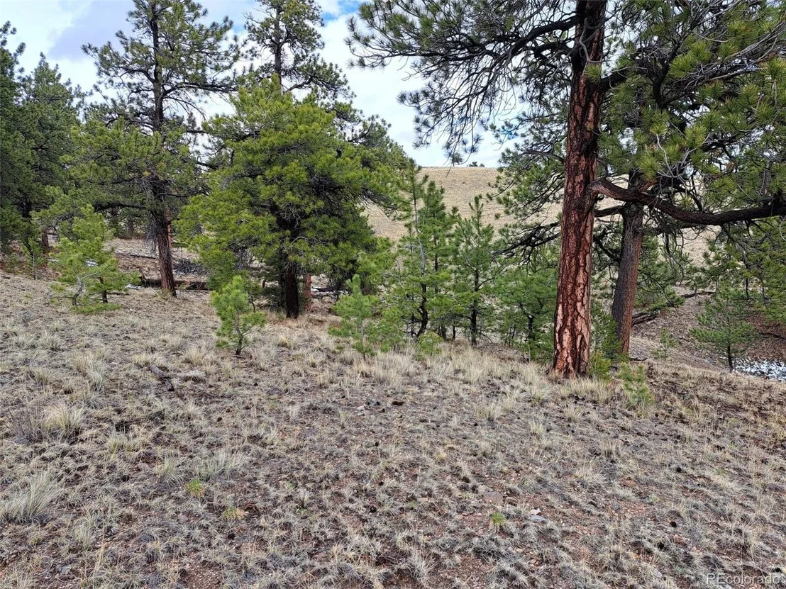 Photo of 783 Remuda