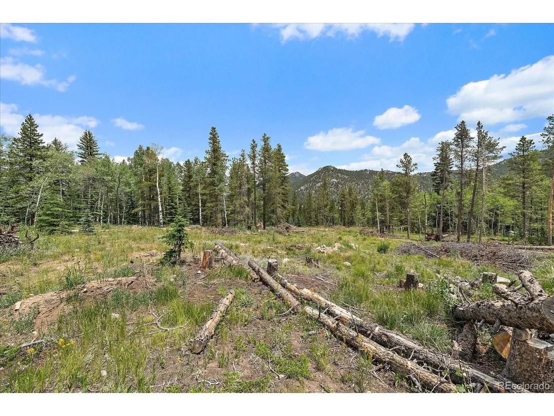 Photo of 151 Golden Leaf Way