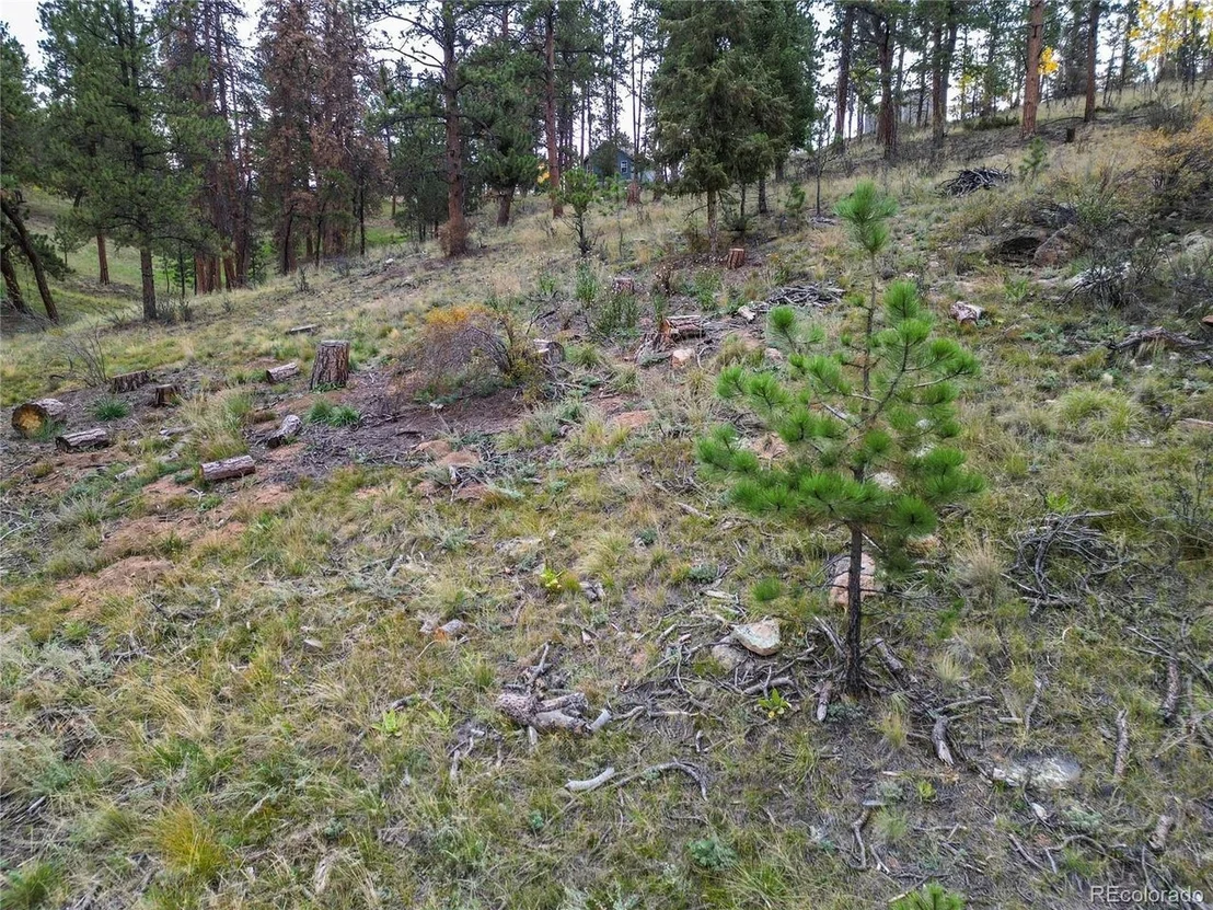 Photo of 33247 Jennifer Rd
