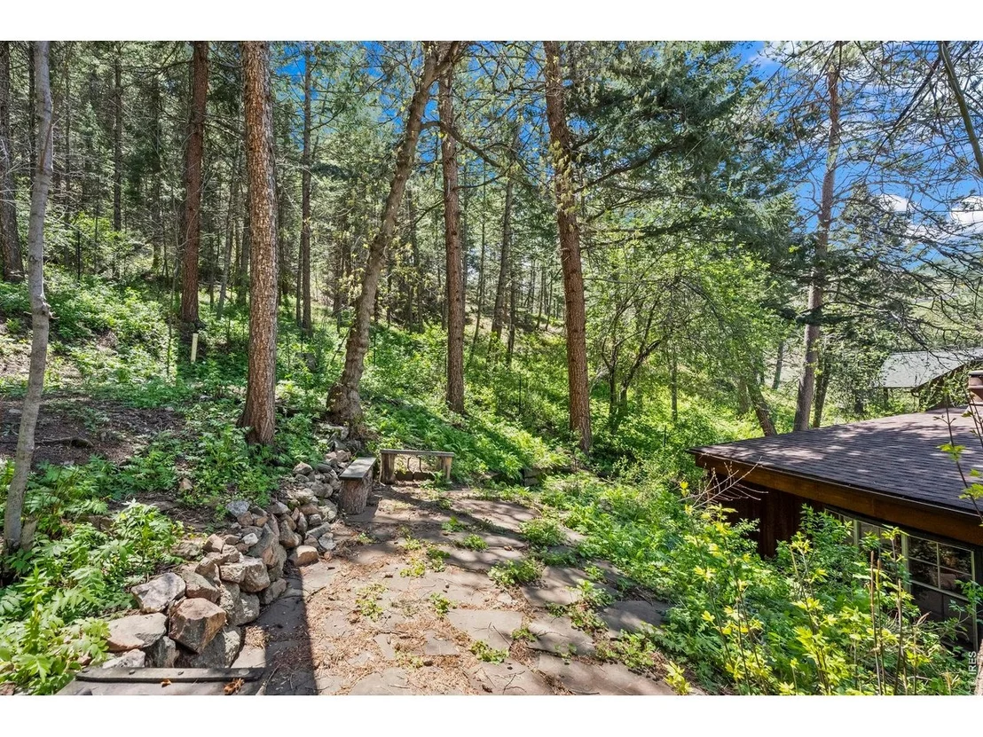 Photo of 41 Silver Spruce