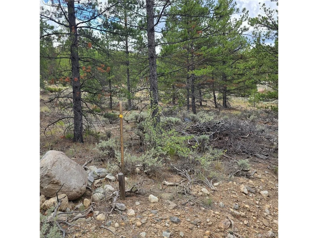 Photo of 28 Juniper Dr