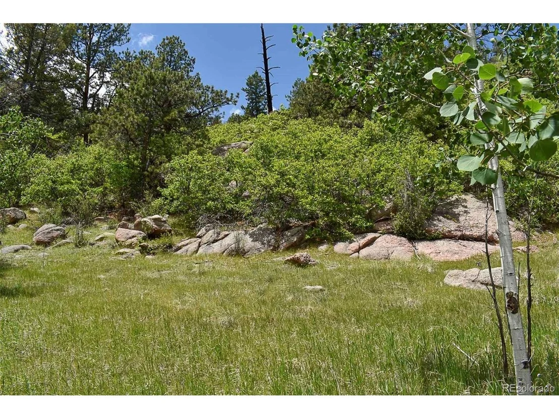 Photo of 281 Deer Ln