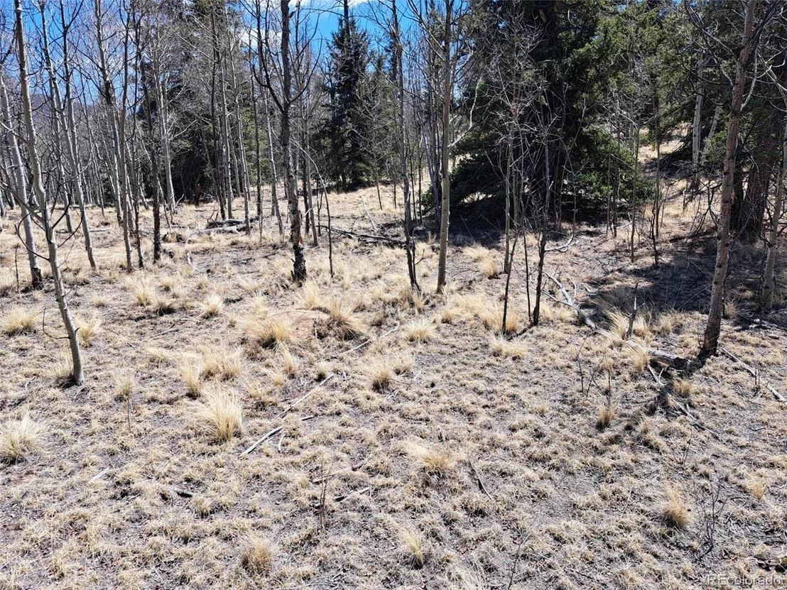 Photo of 730 Tepee Trl