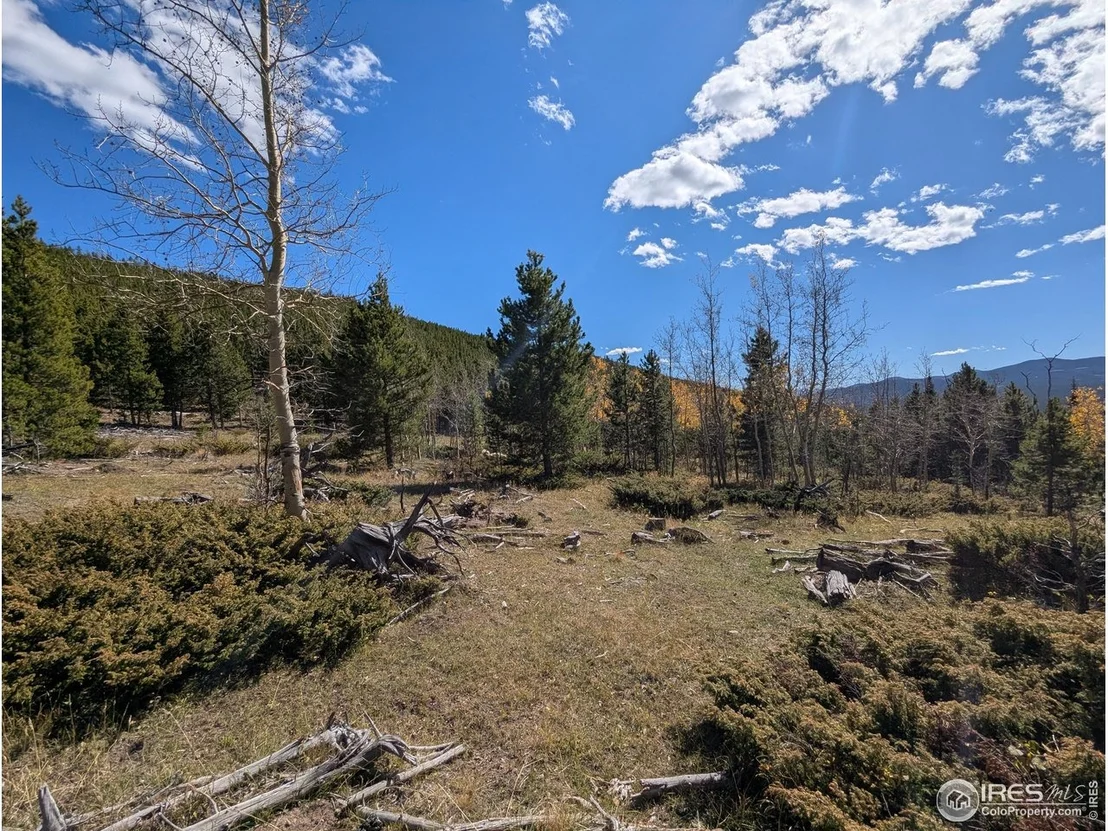 Photo of 2174 Bear Gulch Rd