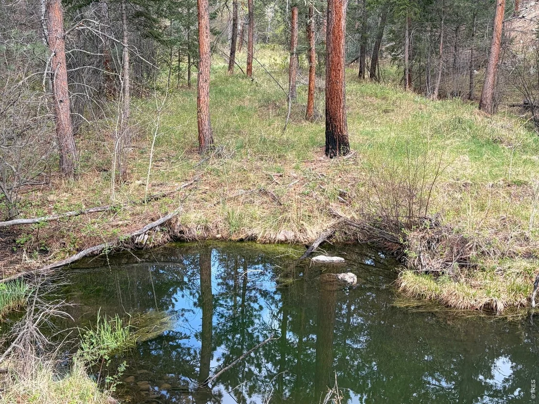 Photo of 1899 Spring Valley Rd