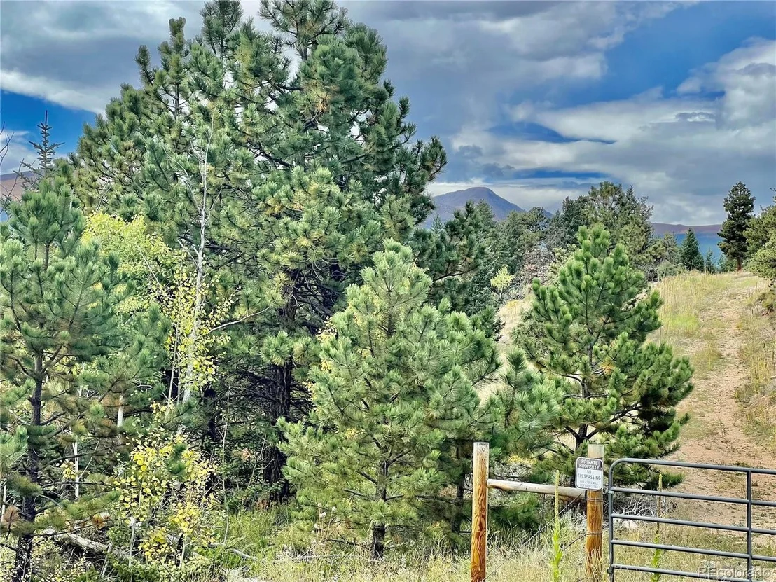 Photo of 2175 Cold Springs Rd