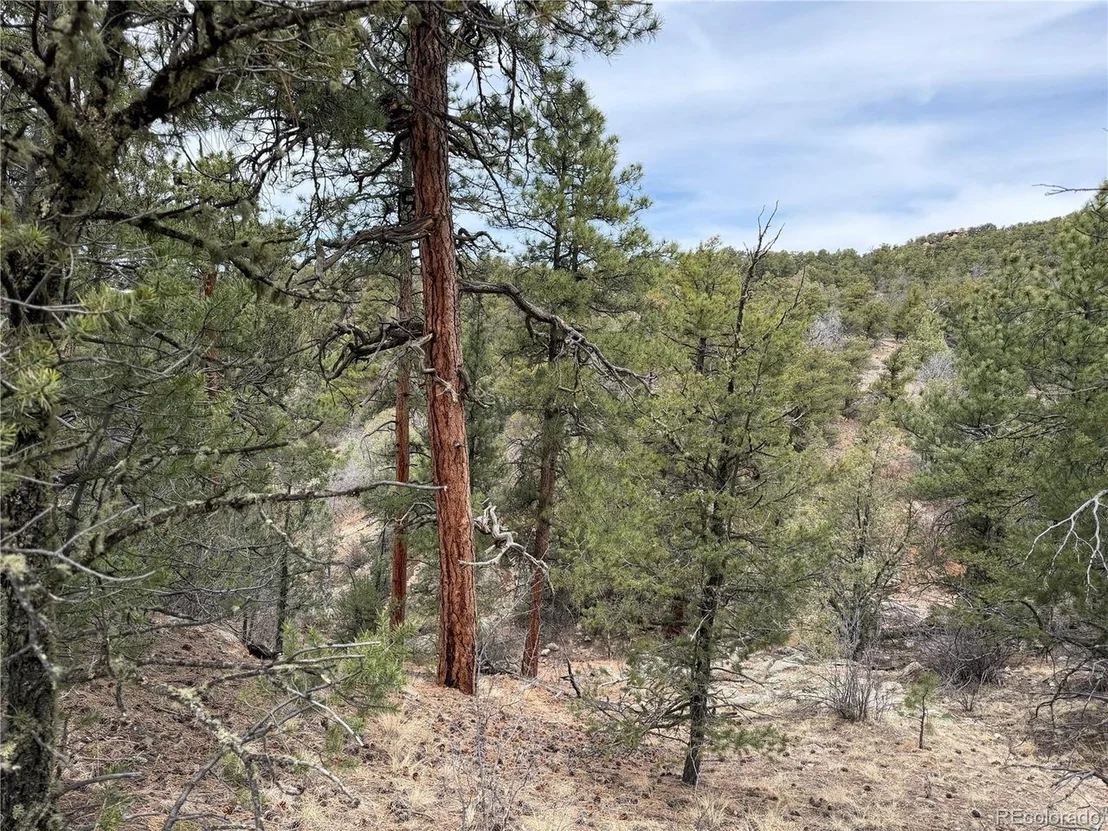 Photo of 672 Coyote Run Trl
