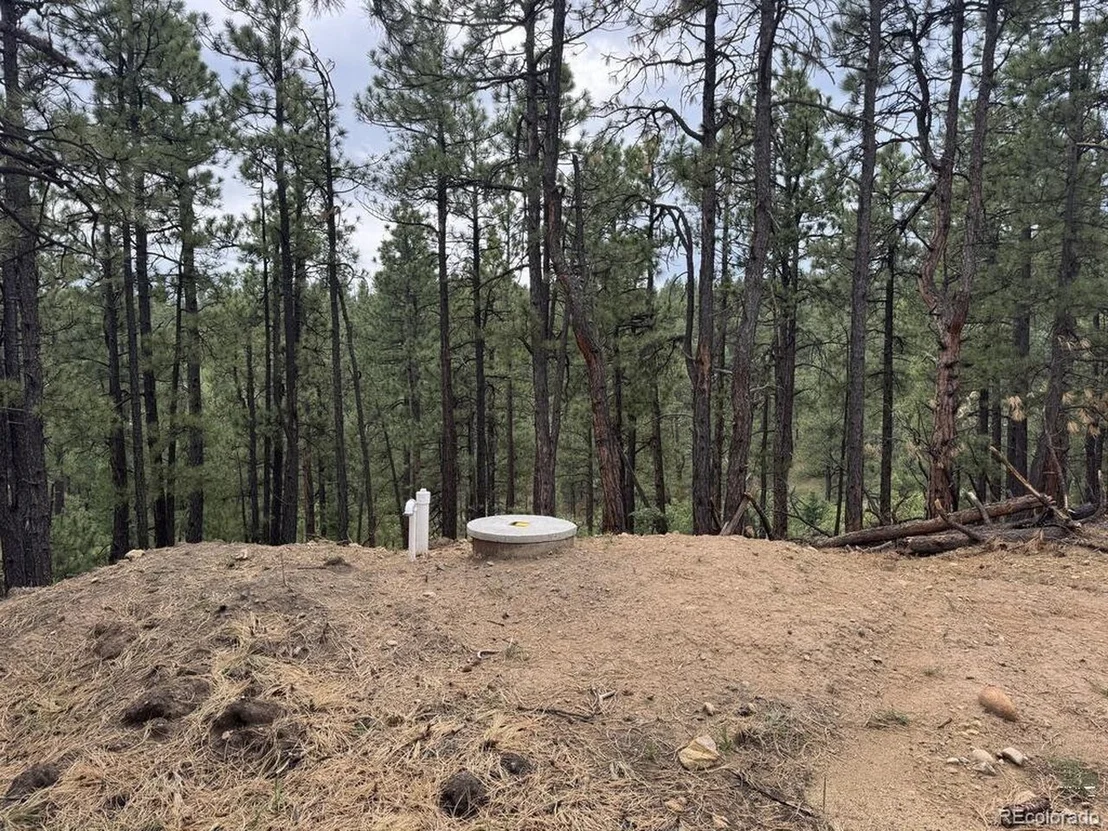 Photo of 11491 Chinook Dr