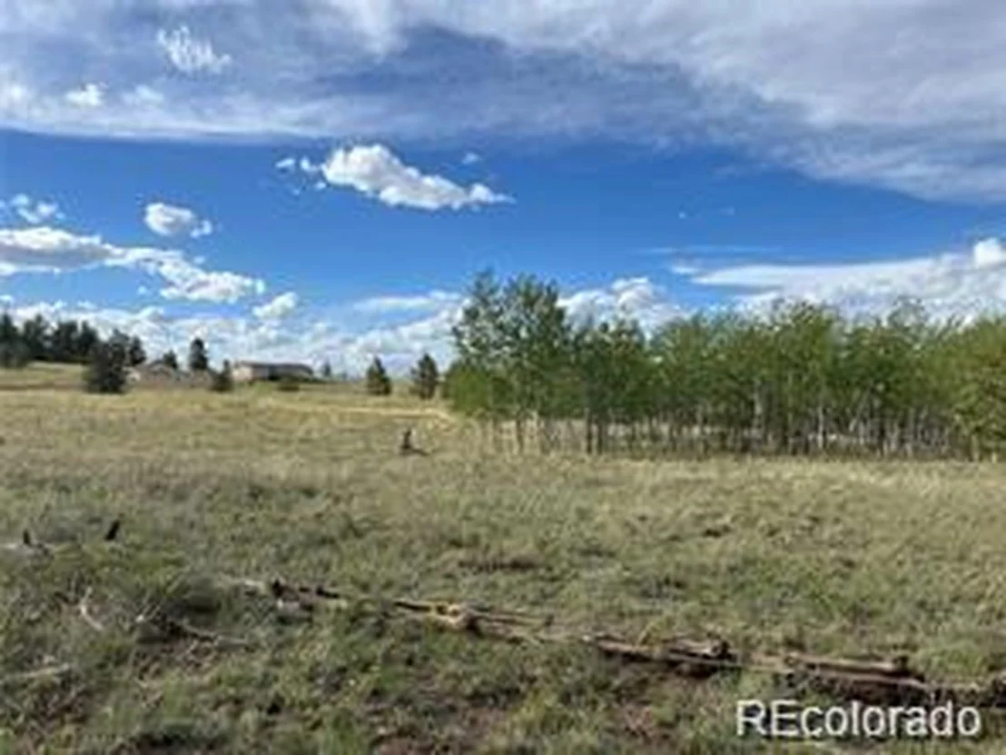 Photo of 1599 Campfire Rd