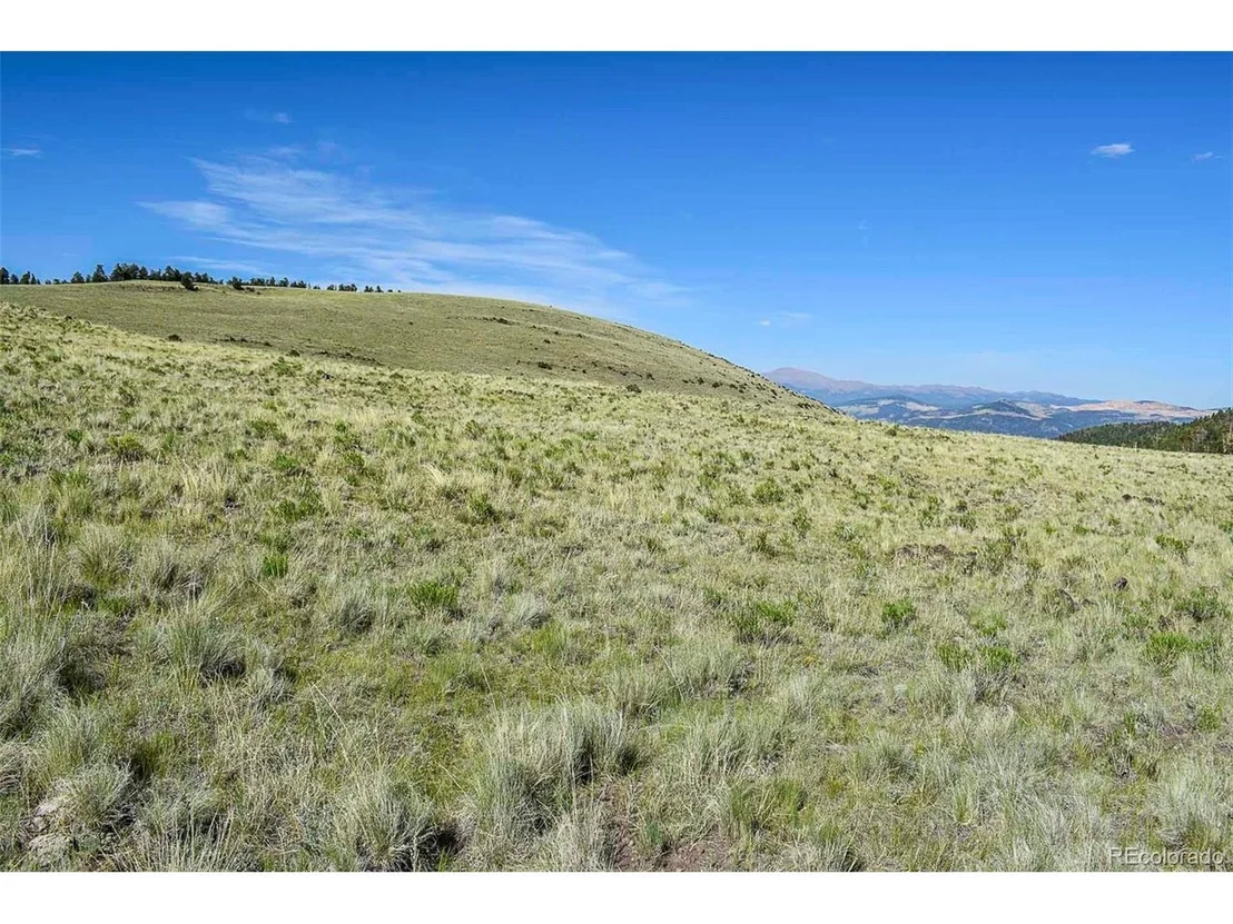 Photo of 0 Bear Cat Rd