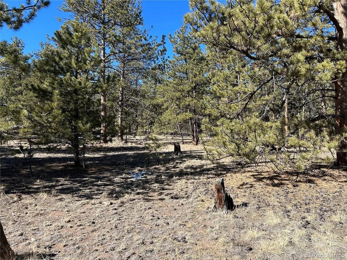 Photo of 147 Haystack Rd
