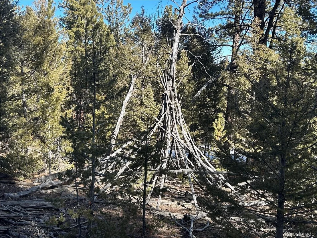 Photo of 4376 Campfire Rd