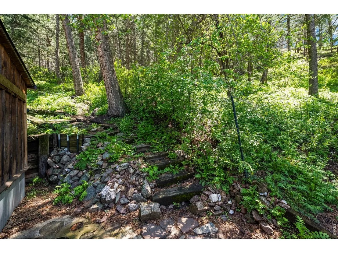 Photo of 41 Silver Spruce
