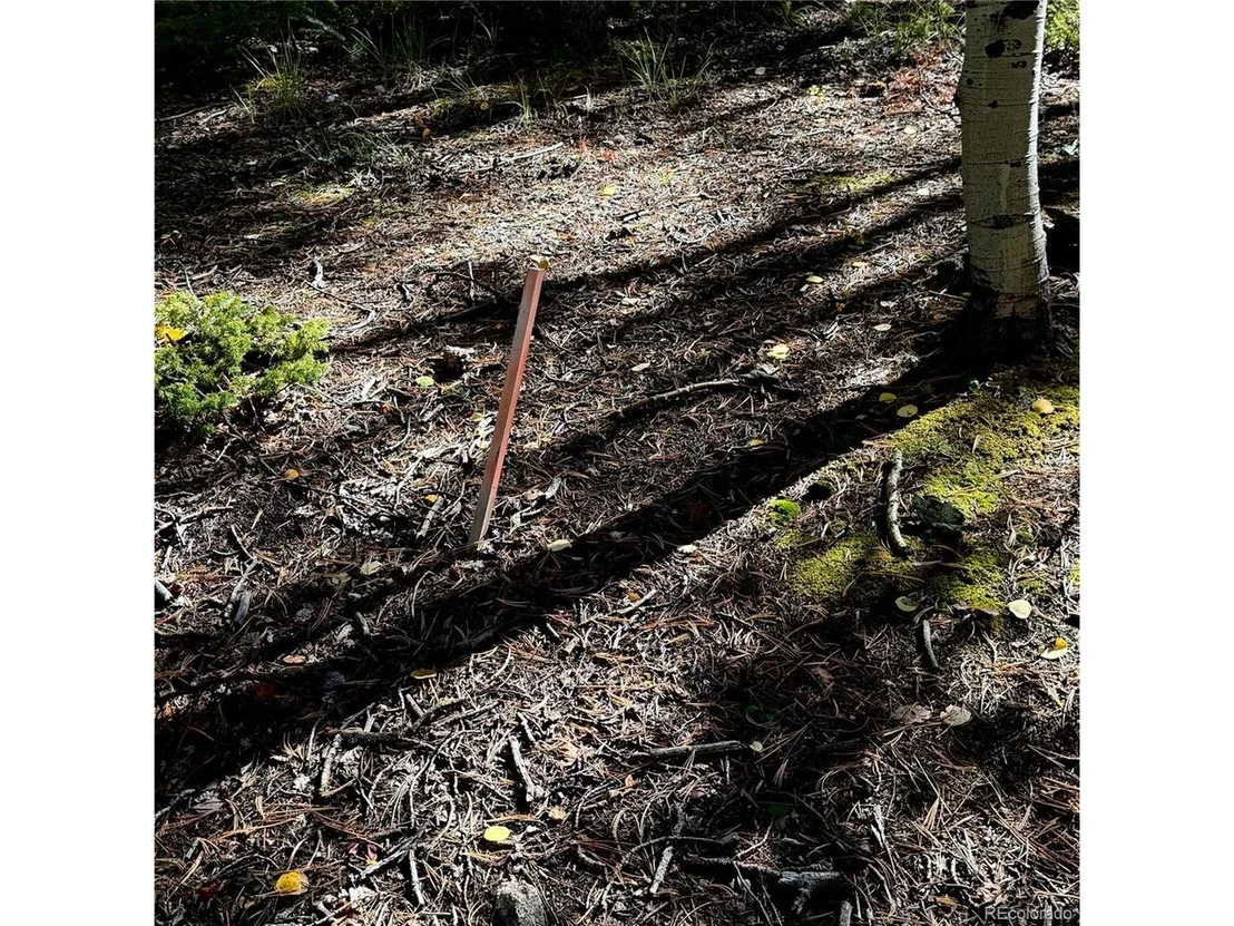 Photo of 800 Timber Ridge Rd
