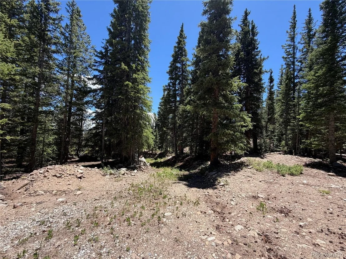 Photo of 339 Silverheels Pl