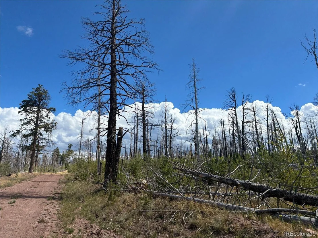 Photo of 2257 Port Loop