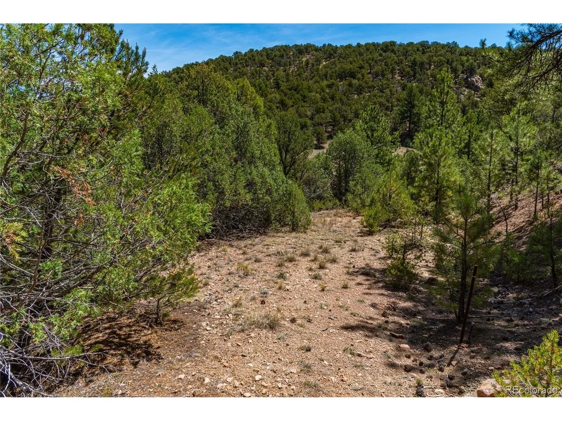 Photo of Arnold Dr