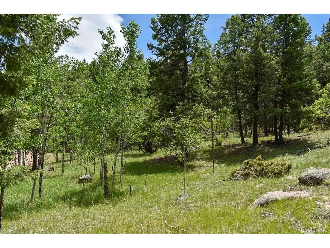 Photo of 281 Deer Ln